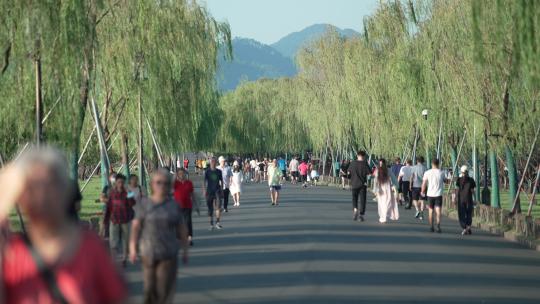 杭州早晨苏堤断桥上散步和锻炼的人们