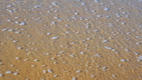 夏天的海边海滩上波浪泛起朵朵浪花