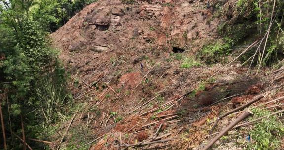 航拍森林砍伐光秃秃的山坡
