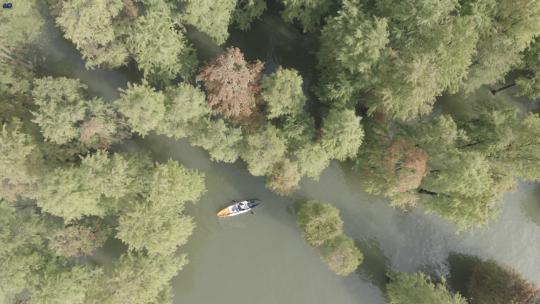 水上森林划船航拍