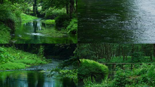 大自然绿色树林森林绿野仙踪小河溪流独木桥高清在线视频素材下载