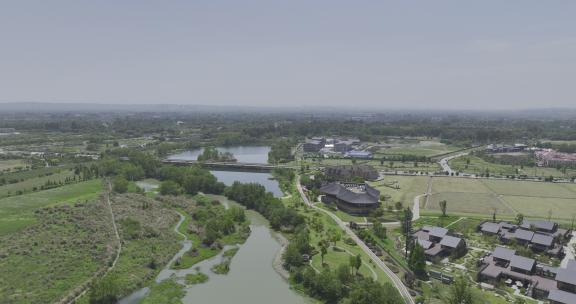 成都新津农博园斑竹林