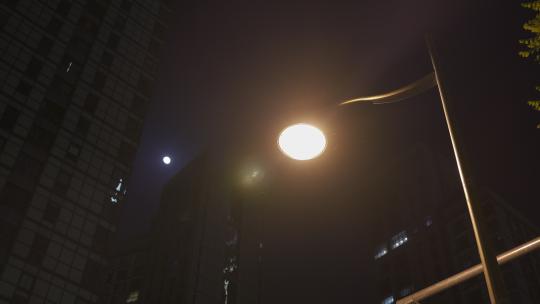 繁华大城市夜晚路灯与月亮同框