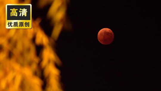 红月血月 月全食 城市夜晚的月亮云