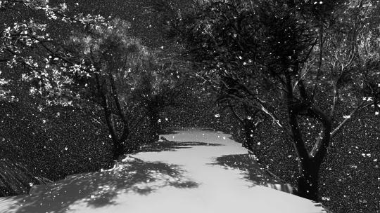 29.场景-路-下雪的小路视频素材模板下载