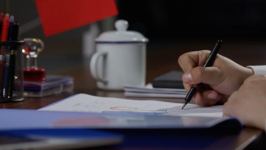 领导批示领导审批政务审批同意签字招标