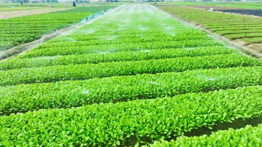 农业灌溉系统 新农村 乡村振兴