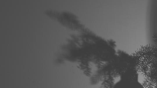 写意抽象艺术黑白光影视频素材