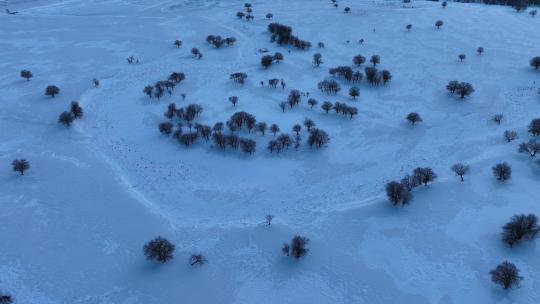 航拍4K湿地雪原树林风景