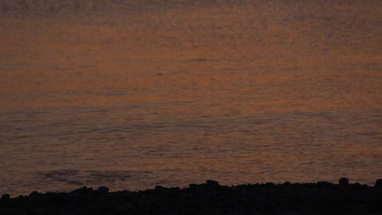 烟台大海黄昏日落，夕阳海边行走的女孩