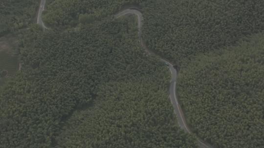 竹林深山公路航拍4k灰度素材