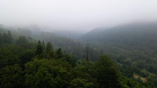 喀尔巴布韦山脉雾蒙蒙的山脉和树林的鸟瞰图，背景是一个村庄