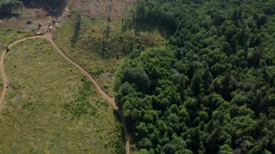 无人机飞越伐木作业——砍伐森林