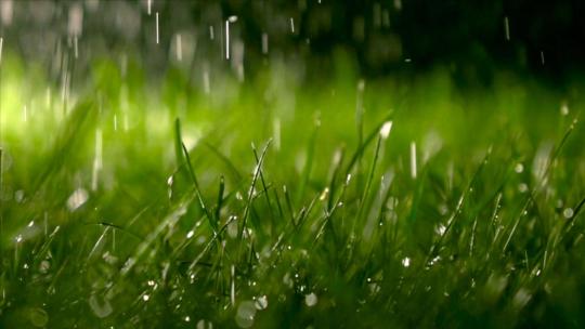 草地下雨雨滴落下