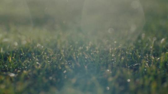 雨水打在草地上