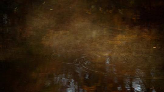 杭州九溪秋天造成的小溪水面上有薄雾飘动