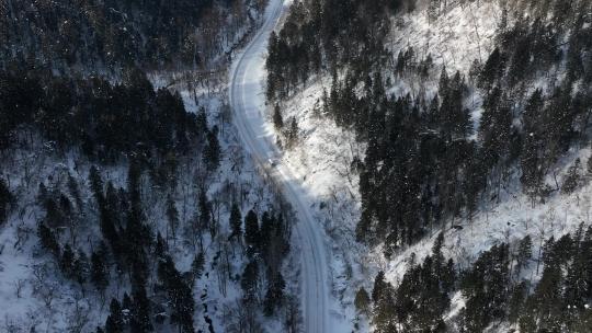 吉林长白山森林公路自驾游旅行航拍风光