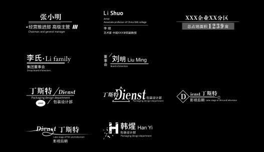 现代简洁字幕标题设计人名条