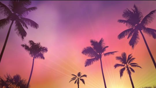 海边 椰树 夕阳 晚霞视频素材模板下载