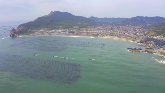 渔船出海打捞海带