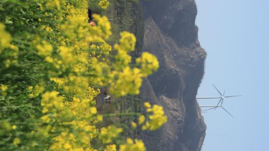 山东文登界石镇旸里村的油菜花田和远山风电