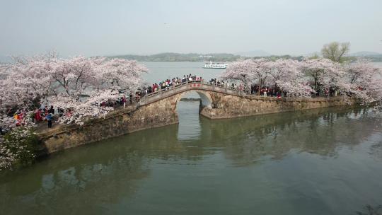 航拍江苏无锡太湖鼋头渚长春桥风光