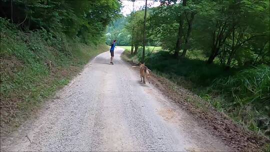 一个男人和他的狗在森林的路上玩