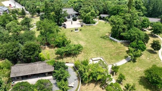 浦口汤泉 惠济寺航拍古银杏树古树南京古树