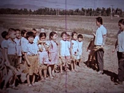 60年代 城里中小学生下乡捡麦穗 参加劳动