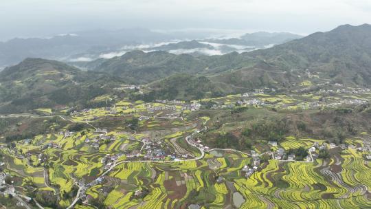 4k高清安康汉阴凤堰古梯田油菜花