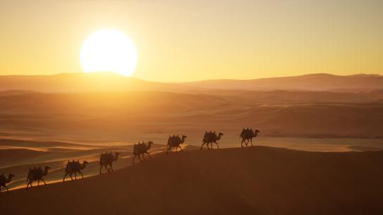 一带一路沙漠骆驼丝绸之路视频素材模板下载