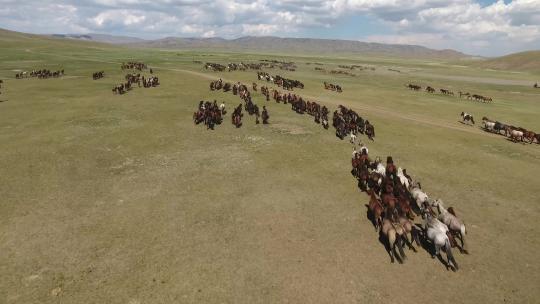 蒙古草原上奔跑的骏马