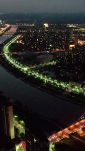 衡阳蒸水夜景雅士林大桥竖屏航拍
