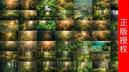 航拍森林绿色生态合集【4K原创】高清在线视频素材下载