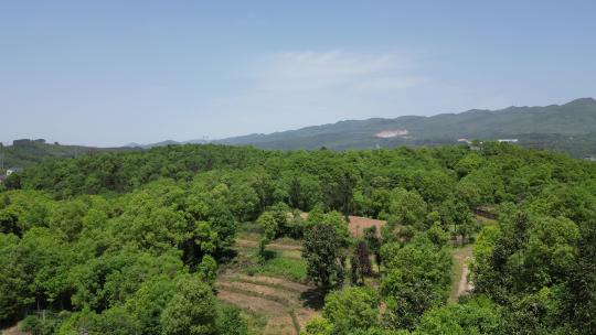 美丽乡村田园农业种植山川丘陵农田航拍