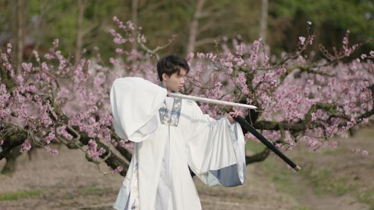 桃花春天古装汉服