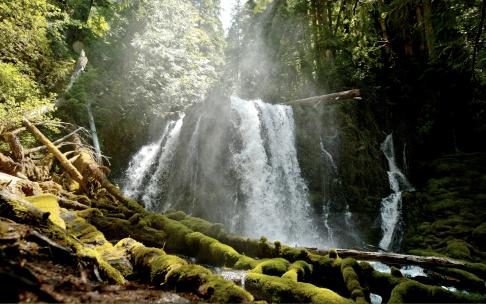 森林河流瀑布水资源自然景光