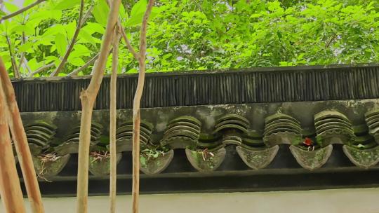 中式建筑屋檐绿植园林古风意境