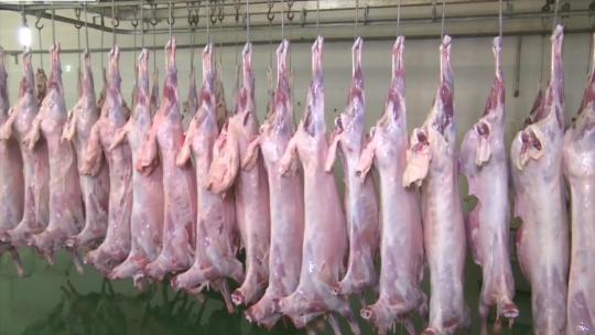 生鲜牛肉屠宰场加工牛肉制品食品厂视频素材模板下载