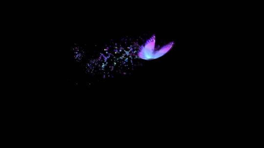 蝴蝶飞舞神奇光带拖尾粒子动画AE视频素材教程下载