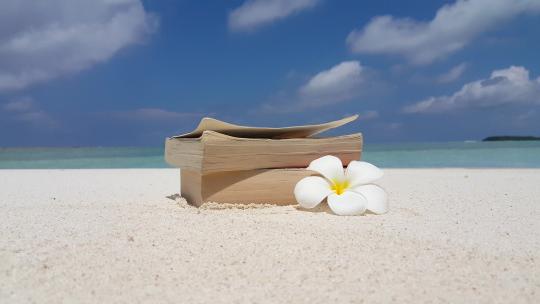 在沙滩上有两本书和一朵花