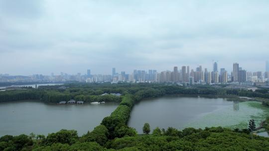 航拍武汉旅游地标5A级东湖景区自然湖景