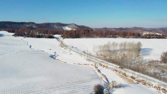 4k航拍雪后的山林