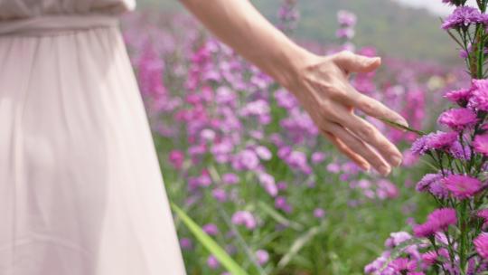 女人的手温柔地触摸紫色花朵