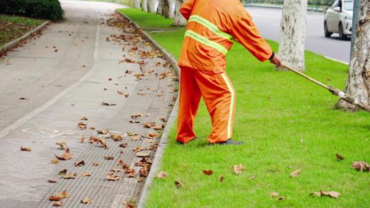 实拍环卫工人清扫草坪上的枫叶