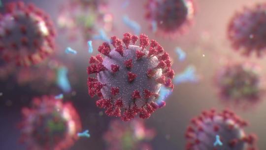疫苗抗体攻击摧毁冠状病毒视频素材模板下载