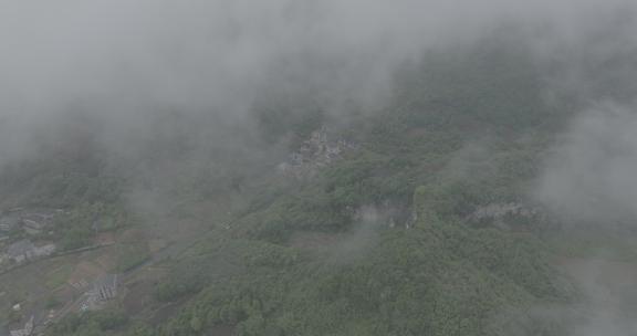 大自然森林茶园村庄云雾大山云海