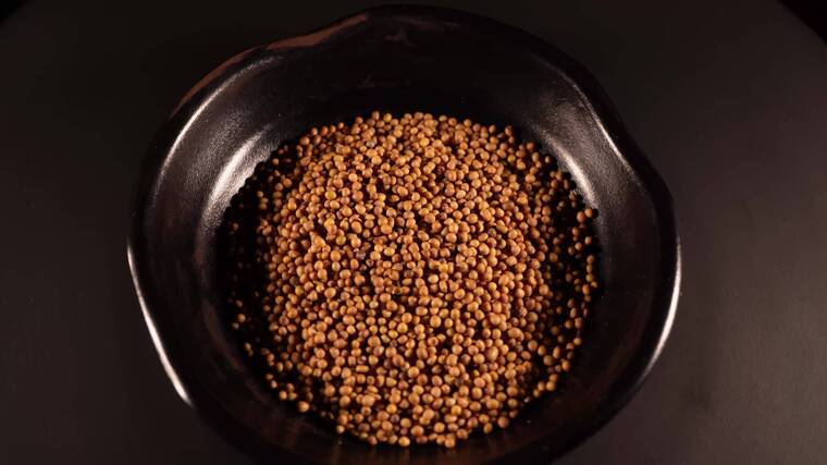 炒芥子中药中草药中医药材-1