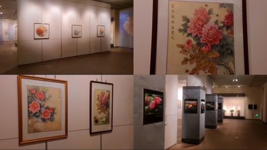 美术馆书画展馆牡丹图绘画摄影展高清在线视频素材下载