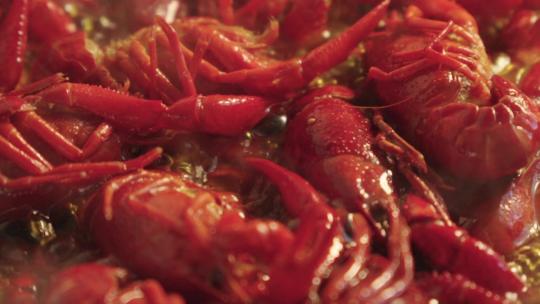 美食小龙虾制作视频素材模板下载